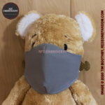 Facemask on a teddy bear